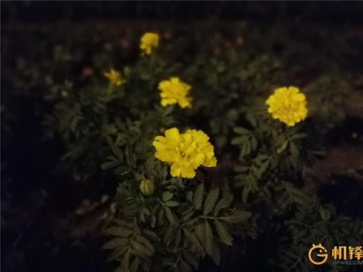 AI加持到底能帶來什么？ 華為麥芒7評測