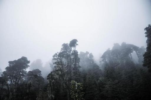 波濤？山路？風雨兼程，麥芒無懼挑戰(zhàn)