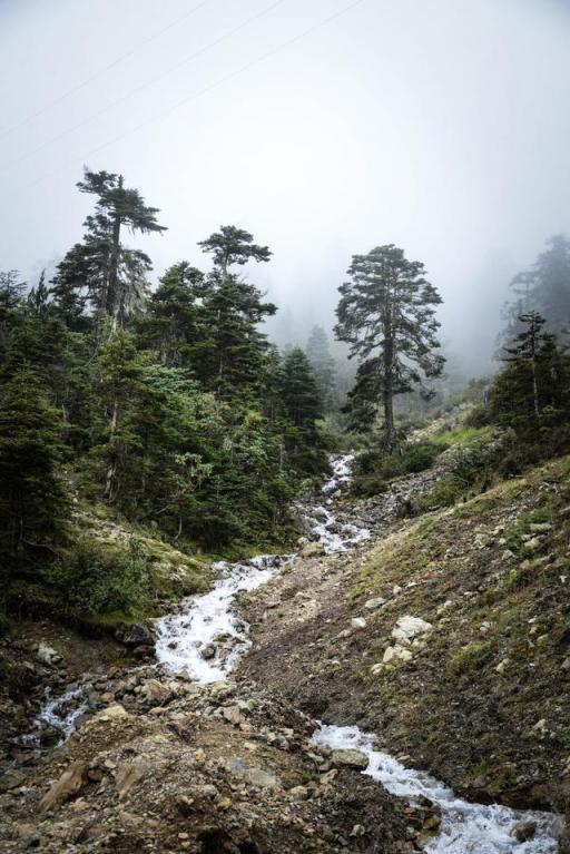 波濤？山路？風雨兼程，麥芒無懼挑戰(zhàn)