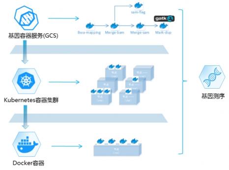 華為云全球首發(fā)基因容器 推動基因計算邁入新紀(jì)元