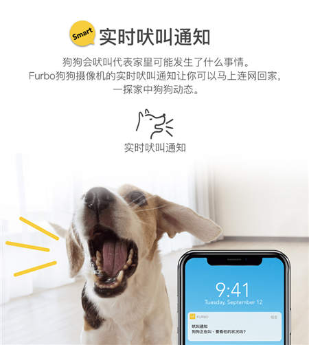 北美暢銷的養(yǎng)狗神器Furbo正式入駐國內，開啟智能養(yǎng)寵新時代