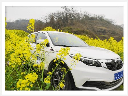 用“花語”描述西安的“絲路”美景 聯(lián)動(dòng)云共享汽車送你“隨手拍中大獎(jiǎng)”