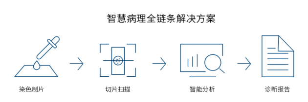 視見科技完成新一輪數(shù)千萬融資，產(chǎn)業(yè)資本助力AI病理加速落地