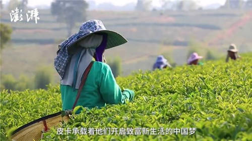 致力打贏脫貧攻堅戰(zhàn)，長城皮卡攜手澎湃新聞啟動“物產(chǎn)中國”