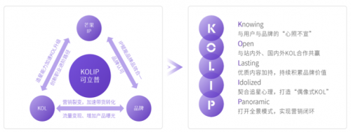 2020 KOL營銷洞察報告：可立普模式能否成為KOL營銷神器？