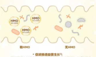 合生元HMO配方奶粉三大強(qiáng)化配方組合，建造更穩(wěn)定的成長壁壘