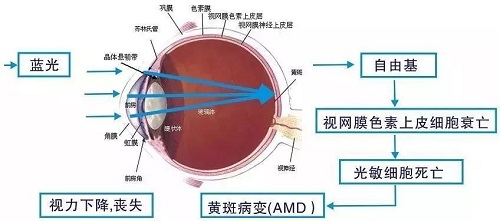 用海信閱讀手機A5Pro 避免藍光傷害健康護眼好讀書