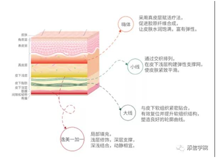 “醫(yī)美之王”愛美客，能否超越600億華熙生物?