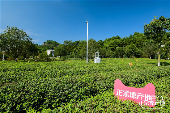 打響“武夷山水”超級產(chǎn)地名片，天貓正宗原產(chǎn)地全面帶貨南平農(nóng)副產(chǎn)品