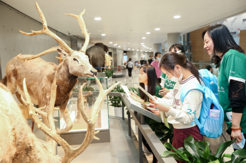 恒隆集團(tuán)慶祝成立60周年，內(nèi)地九城及香港義工活動惠及4500人