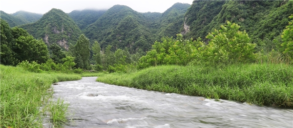 走進仲景宛西制藥藥材基地 探索“藥材好，藥才好”的秘密