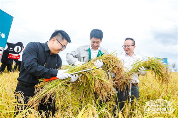 聚焦原產(chǎn)地，天貓將今年第一份“最好的大米”直達餐桌