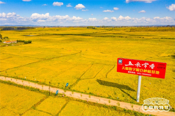 聚焦原產(chǎn)地，天貓將今年第一份“最好的大米”直達餐桌