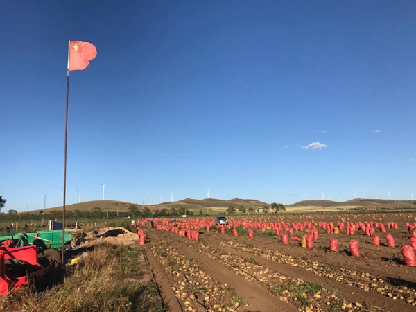 不壓車了，賺得更多了！貨卡幫農(nóng)共享掛車引批發(fā)商和卡車司機(jī)熱捧