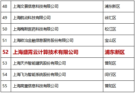 比格云榮獲”2020上海軟件和信息技術(shù)服務(wù)業(yè)高成長(zhǎng)百家”