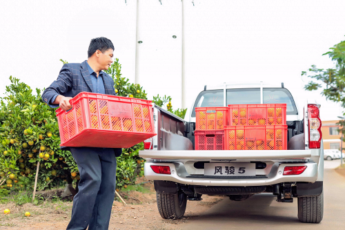 民生車典范，揭秘風(fēng)駿5受歡迎原因