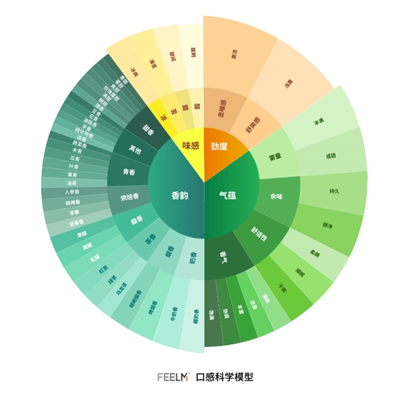 穿越口感秘境，F(xiàn)EELM打造口感科學(xué)體系