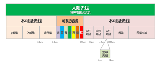 電飯煲只有日本的好？蘇泊爾電飯煲更懂中國人的胃