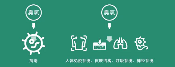 華為要賣空氣了？坐在北京也能享受呼倫貝爾的清新