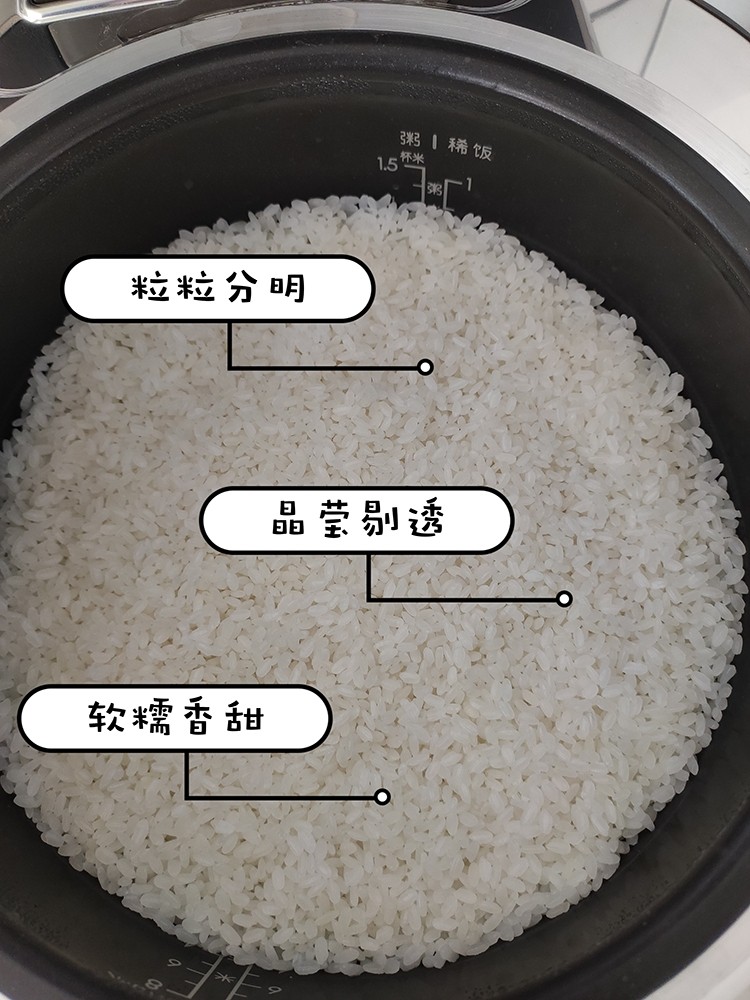 我們對蘇泊爾電飯煲進(jìn)行了評測：顏值當(dāng)?shù)?實力不俗