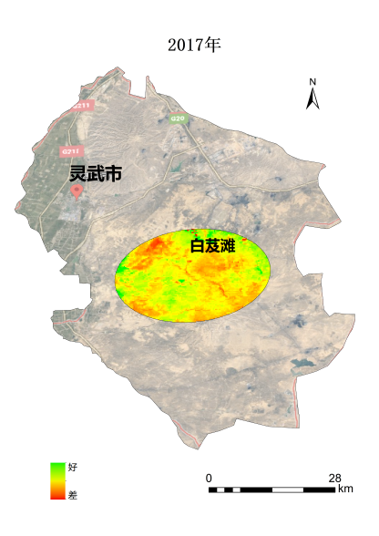 植樹(shù)節(jié)添新綠，平安科技展示“百萬(wàn)植樹(shù)計(jì)劃”階段性成果