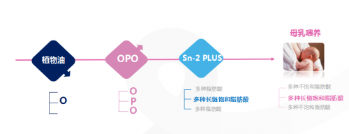 合生元派星雙重保護力呵護寶寶成長，用實力彌補喂養(yǎng)不足