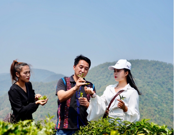 俠之大者 為國為民 長城皮卡就是這樣的民族品牌