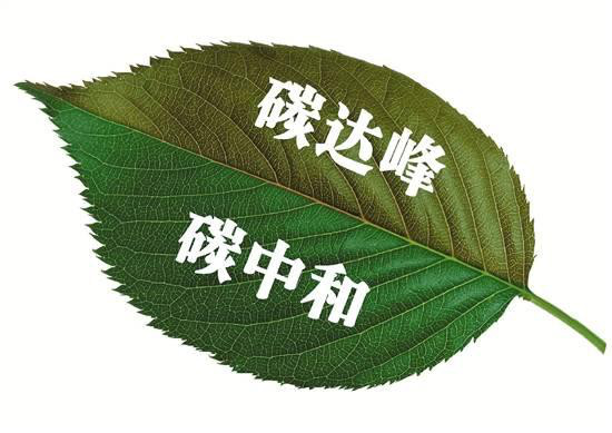 發(fā)揮數(shù)據(jù)最大價值，打造最強云底座 華為云助力“碳中和”賦能生態(tài)文明