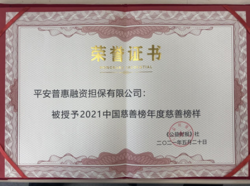 多角度、深層次履行社會(huì)責(zé)任，平安普惠榮獲“年度慈善榜樣”