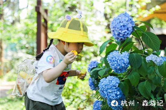 讓教育更有意義！大力智能把課堂搬進了大自然