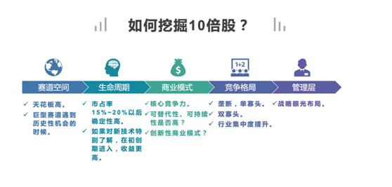 老虎證券七周年丨紅什資本米妮：用一級(jí)市場(chǎng)的股東心態(tài)來投資二級(jí)市場(chǎng)