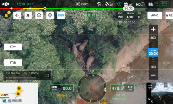 從云南亞洲象北移，看無人機(jī)如何發(fā)揮動(dòng)物保護(hù)高效能