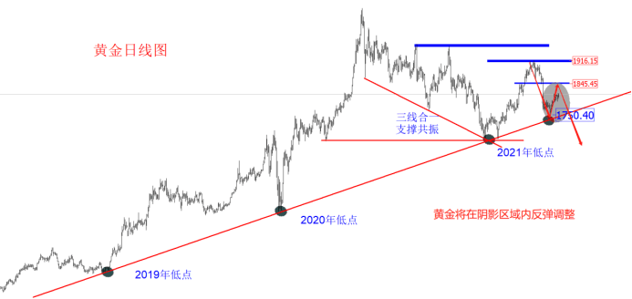 金十訪談間：7月22日領(lǐng)峰里昂老師，聚焦歐美縮表！