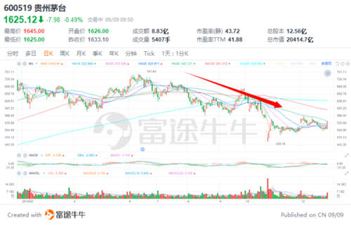 富途牛友故事