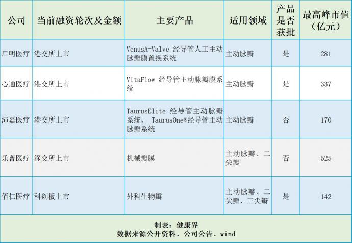 捍宇醫(yī)療“沖浪”TMVR黃金賽道，174億美元規(guī)模群雄逐鹿