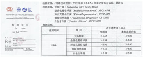 避免繁重家務(wù)腰肌勞損 逸塵殺菌洗地機(jī) 2 Pro 父母好幫手