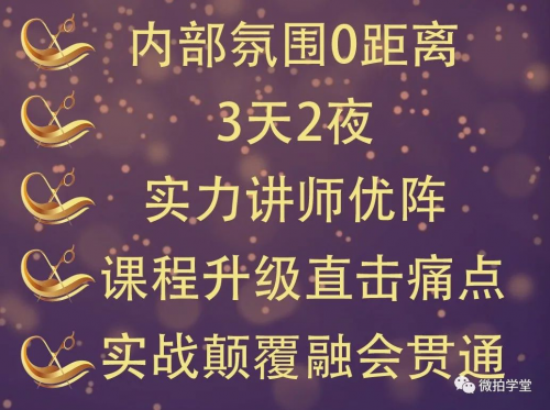 微拍堂總部游學即將開課，教您做運營