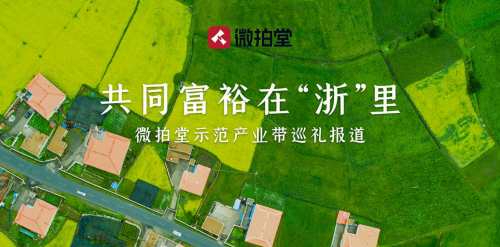 他攜手書(shū)法名家 在微拍堂樹(shù)立以文化人的新風(fēng)