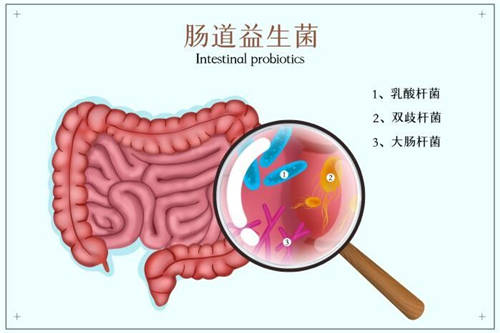 這么多益生菌品牌，選哪個牌子好