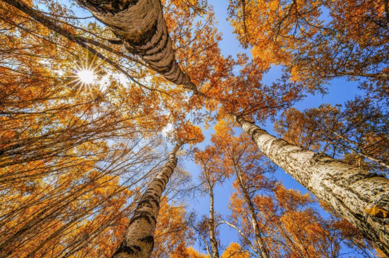 廣納世界 索尼FE 12-24mm F2.8GM 鏡頭解析