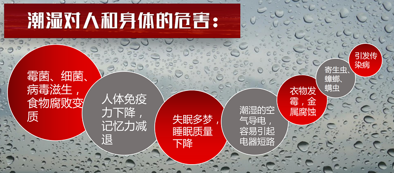 家用除濕機哪個品牌值得買？哪個型號性價比高？