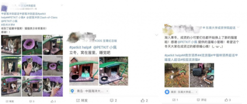 部落沖突聯(lián)合PETKIT小佩安置高校流浪貓屋，呼吁保護流浪動物