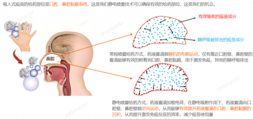 2021年度十大流行語發(fā)布！橙色云參與了這些跨界項目