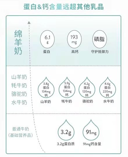 Spring Sheep?春綿?榮獲農(nóng)牧企業(yè)最快增長Top1，高端綿羊奶引領(lǐng)世界乳品新未來！