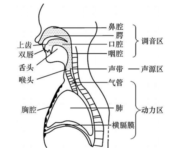 百分點(diǎn)科技：聲紋識(shí)別技術(shù)發(fā)展及未來(lái)趨勢(shì)研究