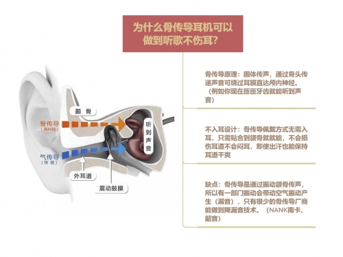 骨傳導耳機真的能保護耳朵和聽力嗎？骨傳導耳機原理科普及分析