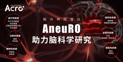 ACROBiosystems百普賽斯推出AneuRO腦與神經(jīng)蛋白，助力加速腦科學(xué)研究