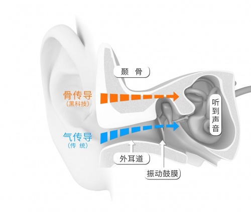 給跑步女生的建議：戴韶音運動耳機，提高安全指數(shù)之一