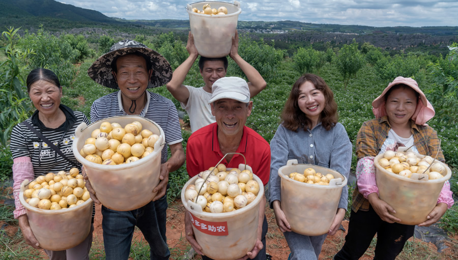 2024中國農(nóng)產(chǎn)品電商發(fā)展報告發(fā)布，拼多多從人與技術入手培育新質(zhì)生產(chǎn)力.jpg