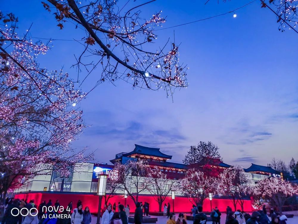 從蒼茫大地到絢麗古都，用華為nova4的超廣角留住一路美景